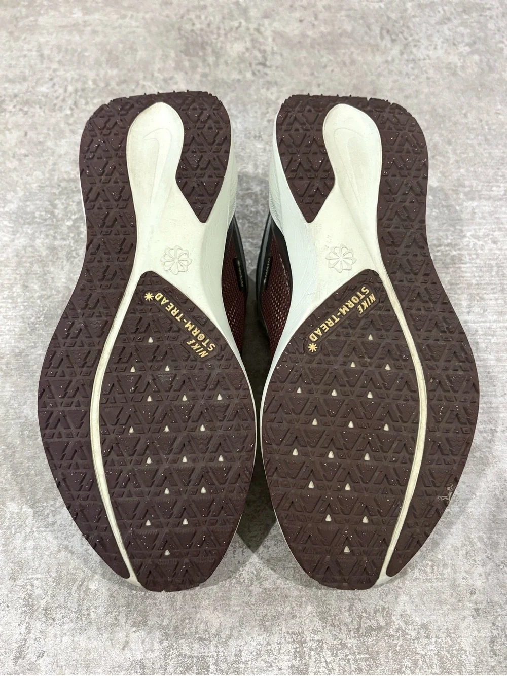 Nike Pegasus 41 GORE-TEX Running Shoes